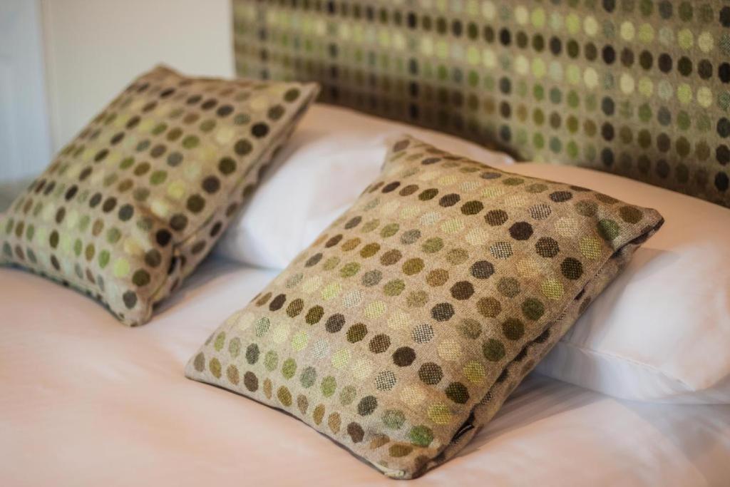 Gwesty'R Emlyn Hotel Newcastle Emlyn Εξωτερικό φωτογραφία